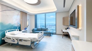 Klinik Ortamı